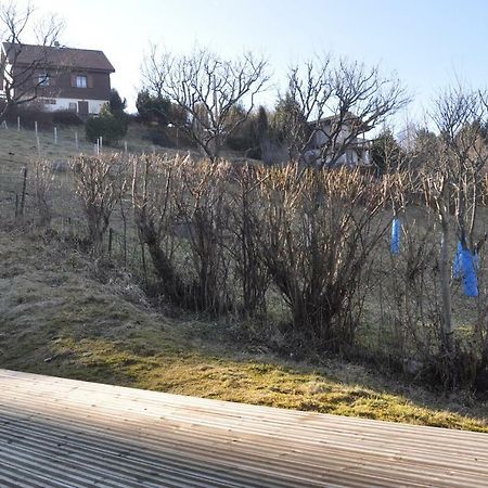 Willa Mirabelle C8 Xonrupt-Longemer Zewnętrze zdjęcie